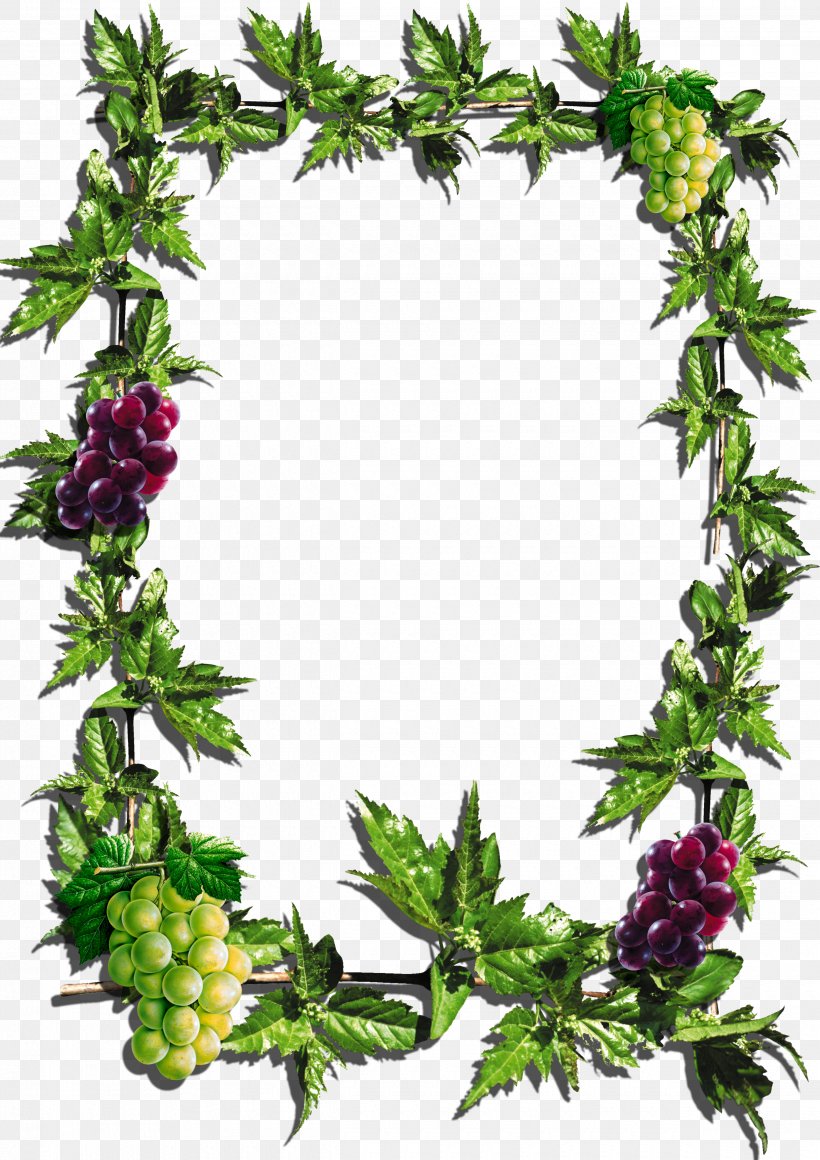 Picture Frames Paper Clip Art, PNG, 2480x3510px, Picture Frames, Flowering Plant, Food, Fruit, Herb Download Free