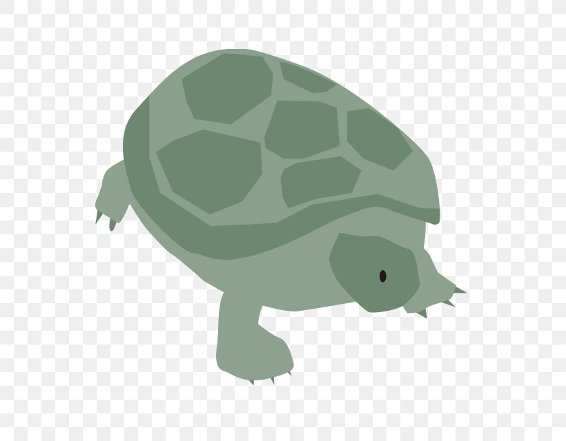 Turtle Book Illustration Tortoise Clip Art, PNG, 640x640px, Turtle, Amphibian, Animal, Blog, Book Illustration Download Free