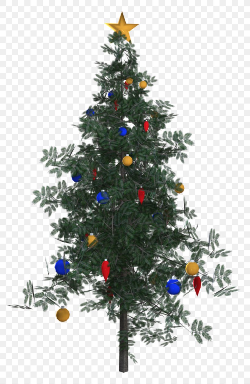 Christmas Tree Christmas Ornament Spruce Fir Pine, PNG, 800x1261px, Christmas Tree, Branch, Christmas, Christmas Decoration, Christmas Ornament Download Free