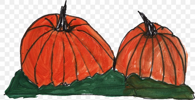 Cucurbita Winter Squash Pumpkin, PNG, 1143x591px, Cucurbita, Orange, Pumpkin, Winter Squash Download Free