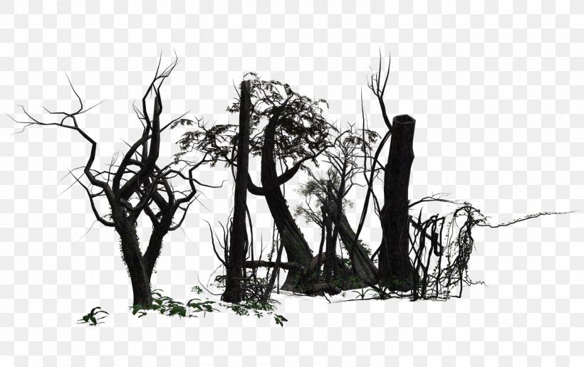 Image Sketch Drawing Visual Arts Graphics, PNG, 1500x945px, Drawing, Art, Artwork, Black And White, Branch Download Free