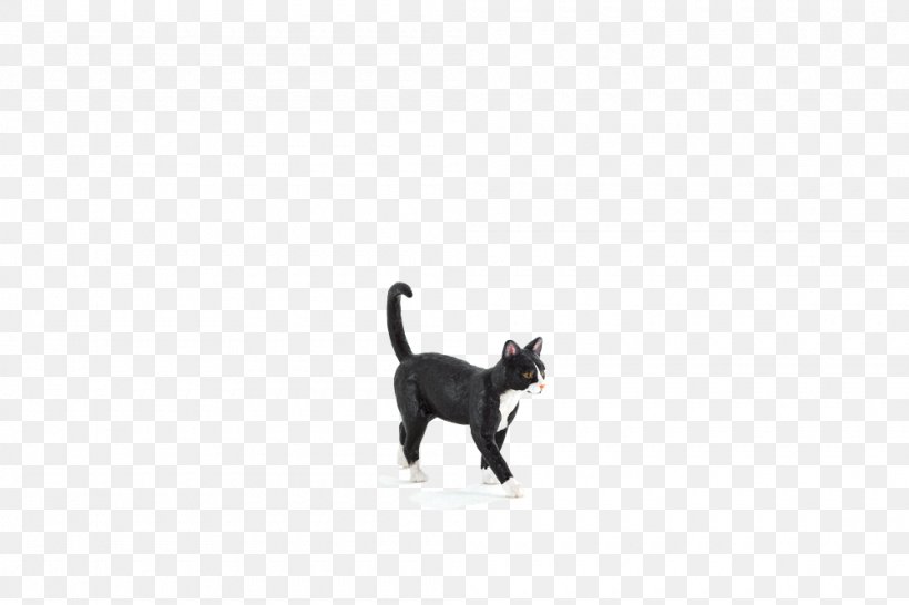 Black Cat Kitten Dog Leash, PNG, 1000x667px, Black Cat, Animal Planet, Black, Black M, Carnivoran Download Free