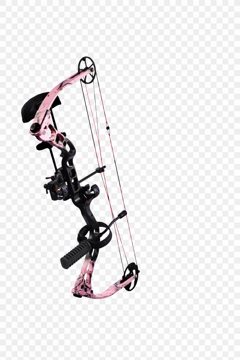 Compound Bows Ranged Weapon Bow And Arrow, PNG, 3744x5616px, Compound Bows, Bow And Arrow, Compound Bow, Ranged Weapon, Sports Equipment Download Free