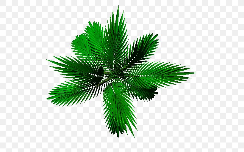 Date Palm Leaf Plant Stem Arecaceae, PNG, 512x512px, Date Palm, Arecaceae, Arecales, Leaf, Palm Tree Download Free