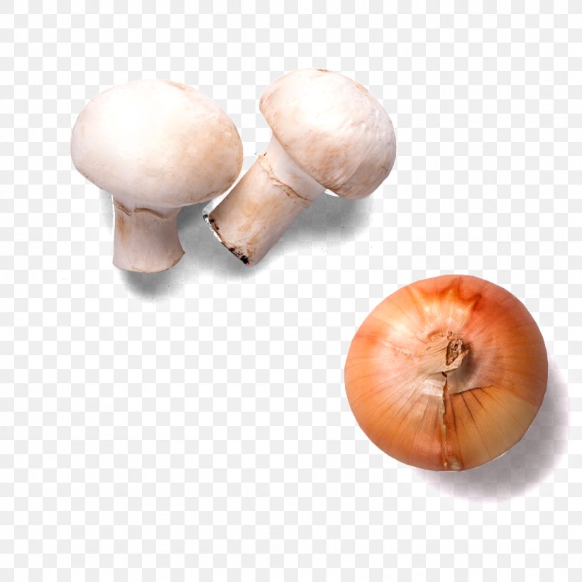 Hamburger Onion Mushroom Vegetable, PNG, 1024x1024px, Hamburger, Beef, Food, Frying, Ingredient Download Free