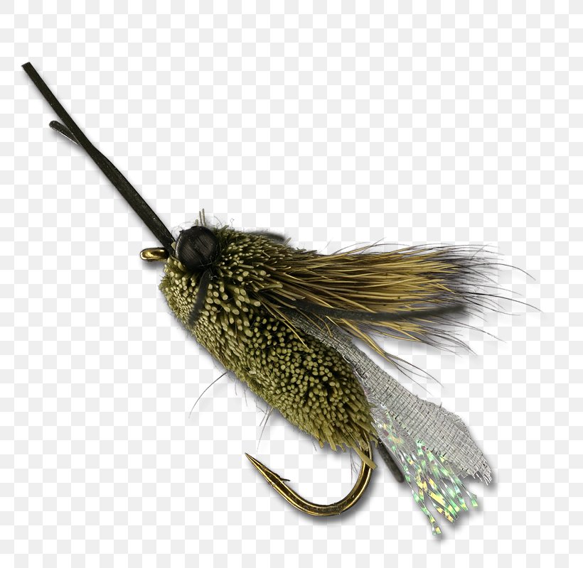 Insect Artificial Fly, PNG, 800x800px, Insect, Artificial Fly, Fishing Bait, Invertebrate, Membrane Winged Insect Download Free