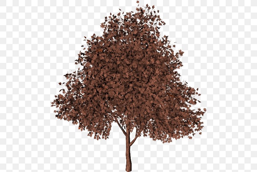 Tree Imgur Autumn, PNG, 500x547px, Tree, Autumn, Brown, Dark, Deviantart Download Free