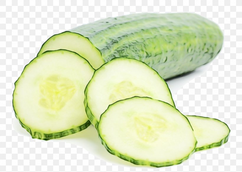 Winter Background, PNG, 1486x1056px, Cucumber, Berry, Certified Naturally Grown, Cucumber M, Cucumis Download Free