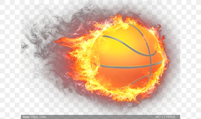 Basketball Team Sport Baseball, PNG, 650x487px, Basketball, Ball, Baseball, Basketball Court, Cryptocurrency Download Free