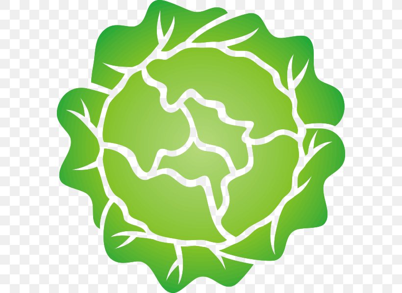 Iceberg Lettuce Salad Leaf Vegetable Clip Art, PNG, 588x598px, Iceberg Lettuce, Area, Green, Leaf, Leaf Vegetable Download Free