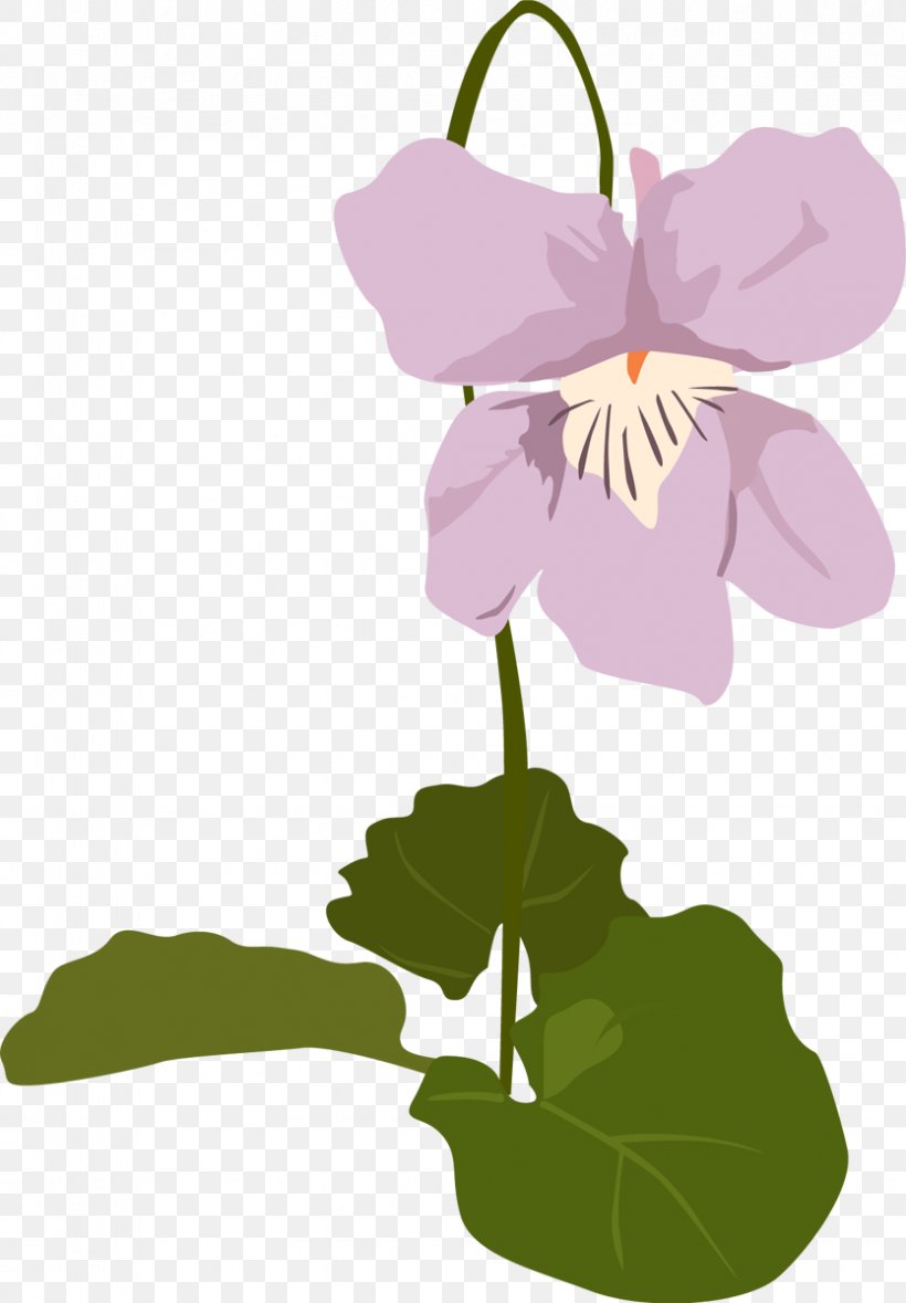 Violets Petal Clip Art Leaf Plant Stem, PNG, 834x1200px, Violets, Advertising, Flora, Floral Design, Flower Download Free