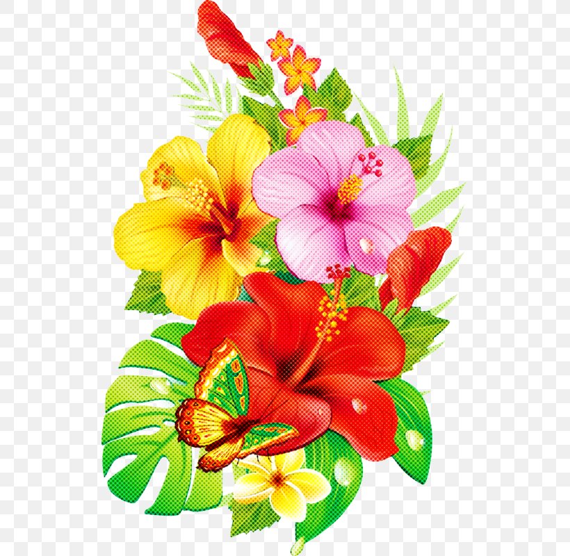 Flower Hawaiian Hibiscus Hibiscus Petal Plant, PNG, 527x800px, Flower, Bouquet, Cut Flowers, Flowering Plant, Hawaiian Hibiscus Download Free