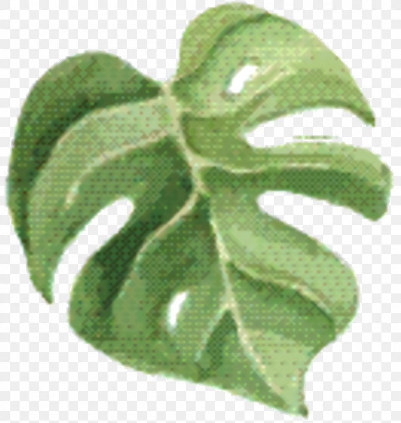 Green Leaf Background, PNG, 1050x1108px, Leaf, Flower, Green, Plant, Plant Pathology Download Free