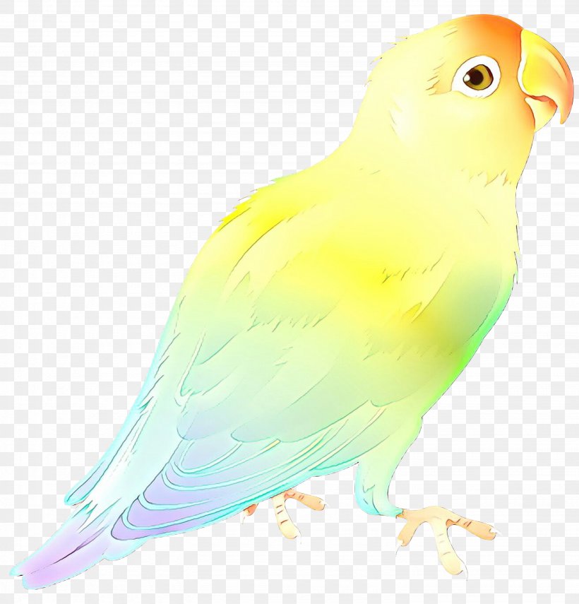 Lovebird Macaw Parakeet Beak Feather, PNG, 2875x3000px, Lovebird, Beak, Bird, Bird Of Prey, Budgie Download Free