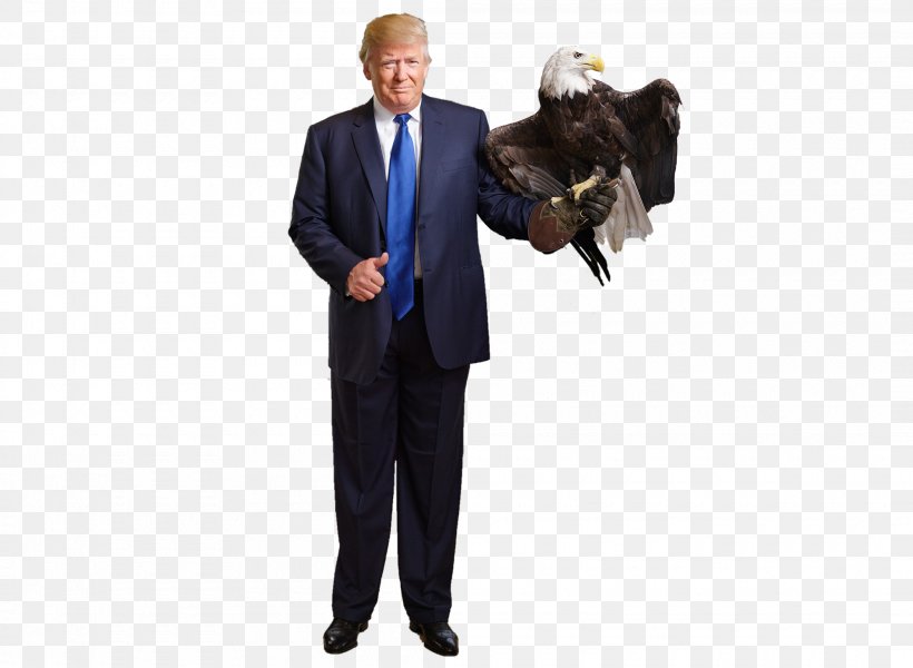 Bald Eagle White House President Of The United States Donald Trump Presidential Campaign, 2016, PNG, 2100x1539px, Bald Eagle, Barack Obama, Business, Donald Trump, Eagle Download Free
