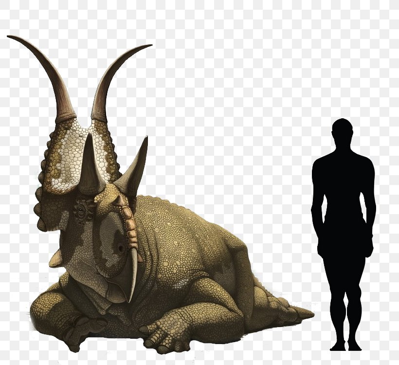 Diabloceratops Triceratops Avaceratops Chasmosaurus Scelidosaurus, PNG, 792x750px, Diabloceratops, Avaceratops, Cattle Like Mammal, Ceratopsians, Chasmosaurus Download Free