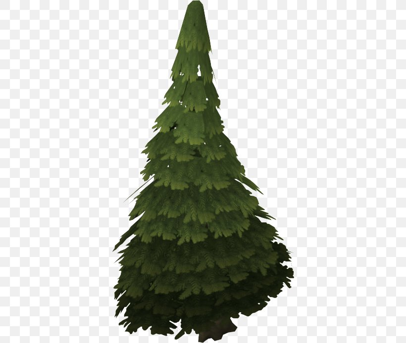 Pine Spruce Noble Fir Evergreen Tree, PNG, 368x694px, Pine, American Holly, Biome, Bristlecone Pine, Christmas Decoration Download Free