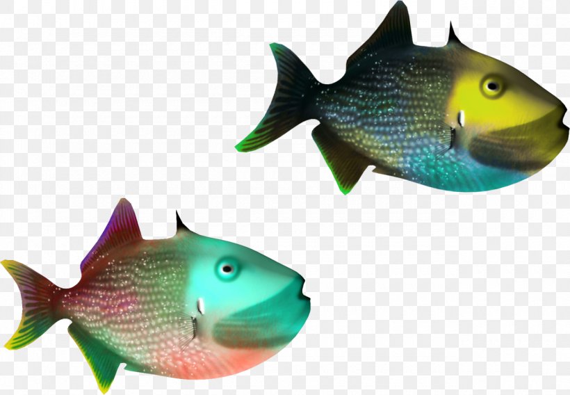 Stock Photography Fish Clip Art, PNG, 1280x887px, Photography, Coral Reef Fish, Fauna, Fin, Fish Download Free