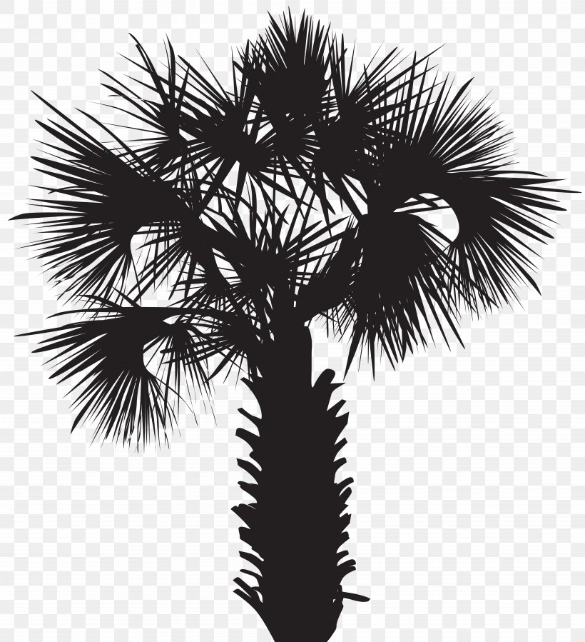 Arecaceae Drawing Silhouette, PNG, 7290x8000px, Arecaceae, Arecales, Black And White, Borassus Flabellifer, Branch Download Free