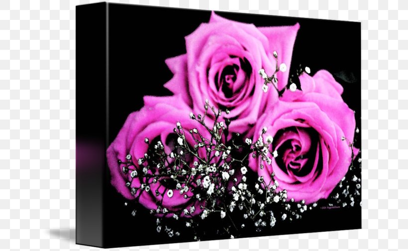 Garden Roses Watercolor Painting Imagekind Art, PNG, 650x504px, Garden Roses, Art, Canvas, Cut Flowers, Flora Download Free