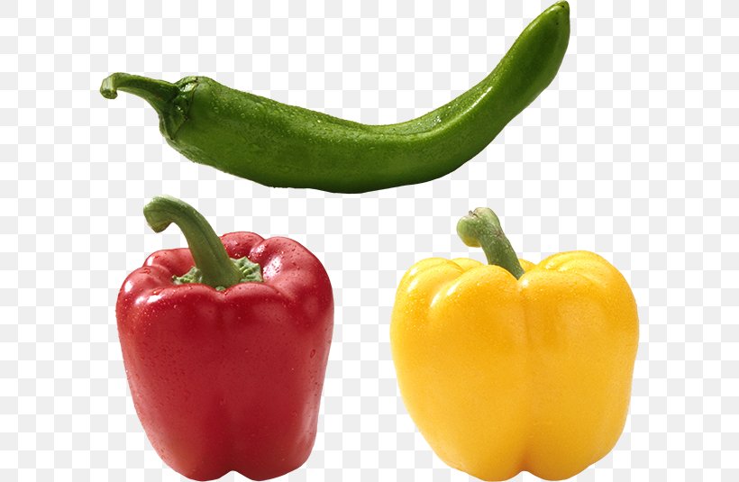Habanero Serrano Pepper Tabasco Pepper Cayenne Pepper Yellow Pepper, PNG, 600x535px, Habanero, Bell Pepper, Bell Peppers And Chili Peppers, Capsicum, Capsicum Annuum Download Free