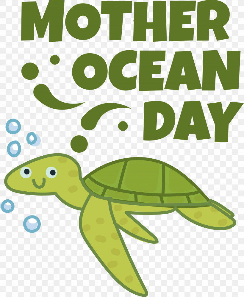 Sea Turtles Tortoise Turtles Sea Life Bangkok Ocean World Cartoon, PNG, 4373x5326px, Sea Turtles, Cartoon, Leaf, Line, Sea Download Free