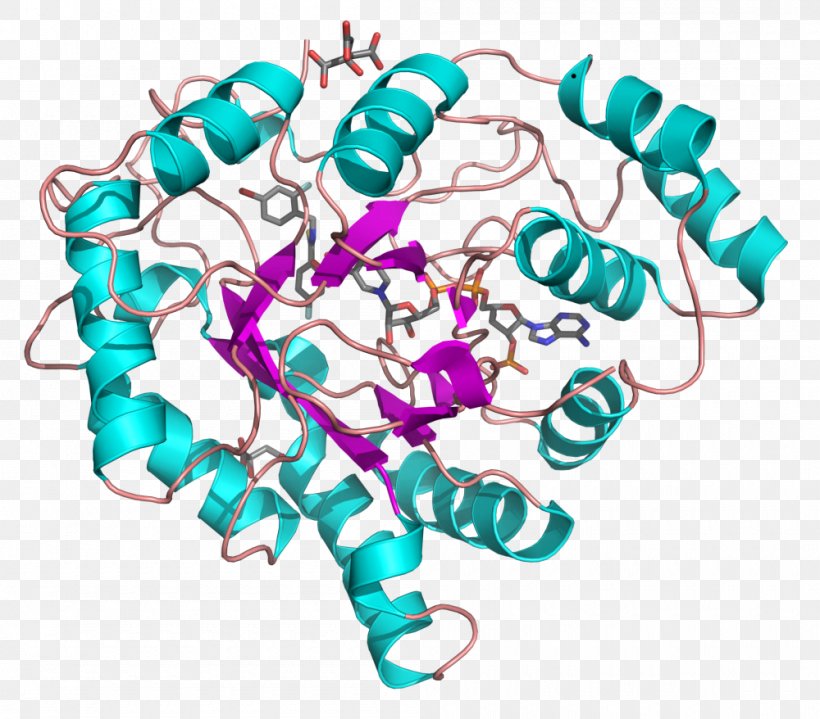 Aldose Reductase Nicotinamide Adenine Dinucleotide Phosphate Aldo-keto Reductase Oxidoreductase, PNG, 1000x878px, Aldose Reductase, Aldehyde, Aldoketo Reductase, Aldose, Body Jewelry Download Free