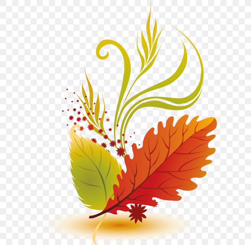 Autumn Leaf Color Autumn Leaves Clip Art, PNG, 599x800px, Leaf, Autumn, Autumn Leaf Color, Autumn Leaves, Cartoon Download Free