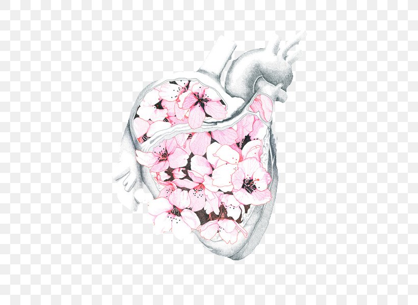 Drawing Heart Anatomy, PNG, 462x600px, Watercolor, Cartoon, Flower, Frame, Heart Download Free