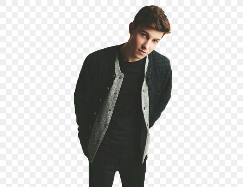 Shawn Mendes Why, PNG, 482x630px, Shawn Mendes, Blazer, Cardigan, Formal Wear, Illuminate World Tour Download Free