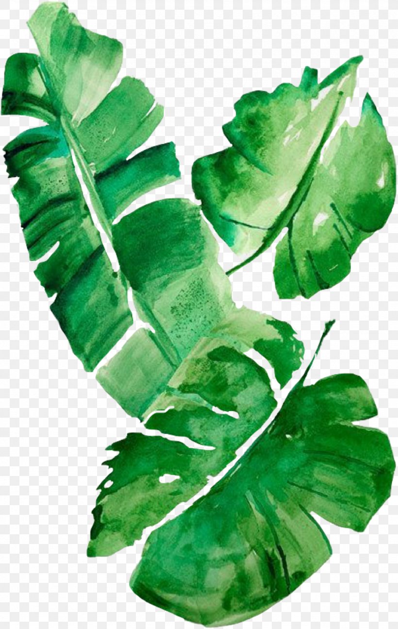 Watercolor Painting Banana Leaf Art, PNG, 1024x1618px, Watercolor Painting, Art, Banana, Banana Leaf, Cushion Download Free