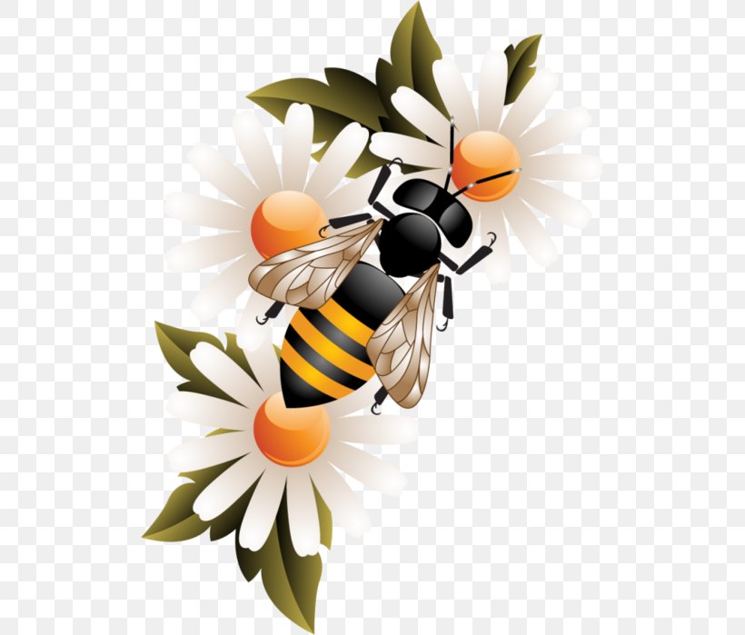 Worker Bee Honey Bee Honeycomb, PNG, 509x699px, Bee, Beehive, Bumblebee, Cut Flowers, Flower Download Free
