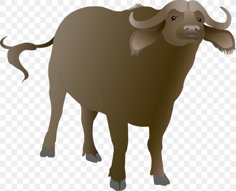 Animal Bovini, PNG, 1200x974px, Animal, African Buffalo, Animal Figure, Bovini, Bull Download Free