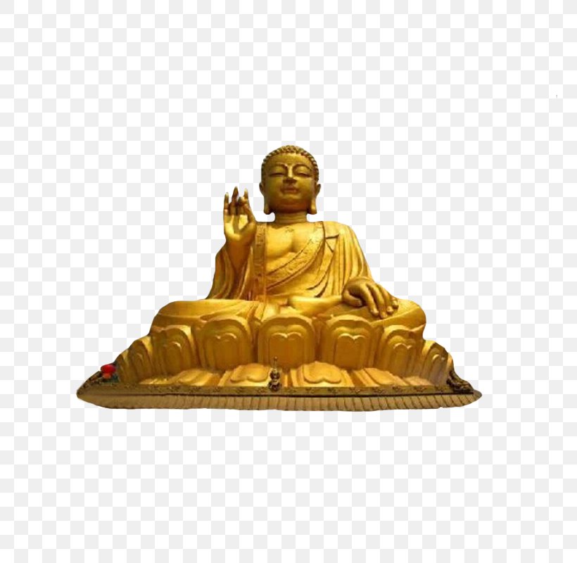 Daibutsu Buddhahood Searching For Buddha Icon, PNG, 800x800px, Daibutsu, Bhikkhuni, Buddhahood, Gautama Buddha, Google Images Download Free