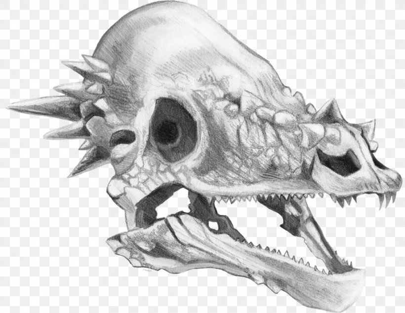 Pachycephalosaurus Triceratops Tyrannosaurus Skull Drawing, PNG, 1016x786px, Pachycephalosaurus, Art, Automotive Design, Black And White, Bone Download Free