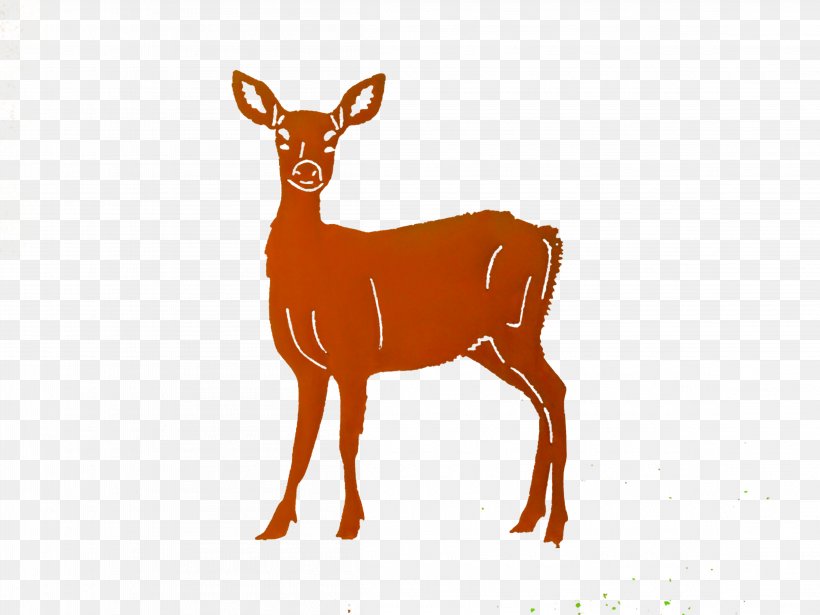 White-tailed Deer Elk Reindeer Antelope, PNG, 4608x3456px, Deer, Antelope, Antler, Deer Hunting, Elk Download Free