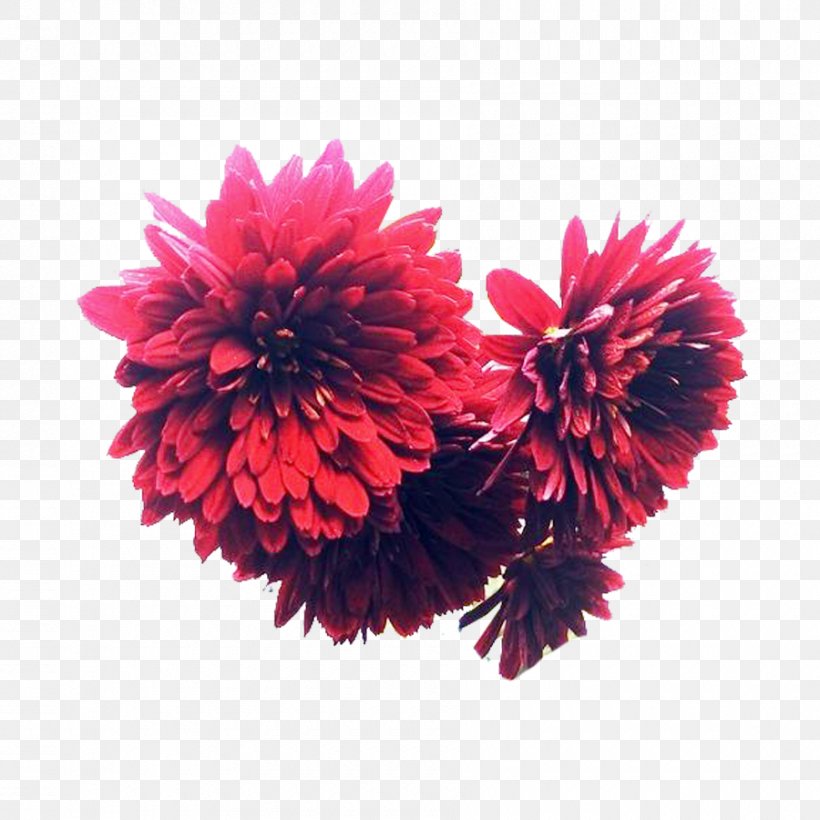 Chrysanthemum Inkstick Flower Bouquet Designer, PNG, 900x900px, Chrysanthemum, Chrysanths, Cut Flowers, Dahlia, Designer Download Free