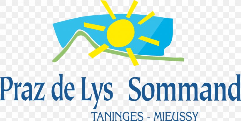 Praz De Lys-Sommand Communauté De Communes Des Montagnes Du Giffre Ski Resort Piste, PNG, 1063x534px, Ski Resort, Area, Brand, Diagram, Energy Download Free