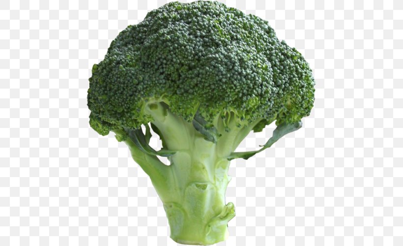 Broccoli Vegetable Fruit Tomato Onion, PNG, 467x500px, Broccoli, Auglis, Cuisine, Eating, Flowerpot Download Free