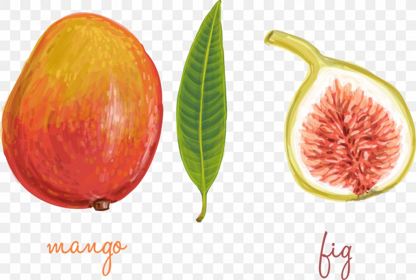 Common Fig Graphic Design, PNG, 2092x1411px, Common Fig, Auglis, Diet Food, Food, Fruit Download Free