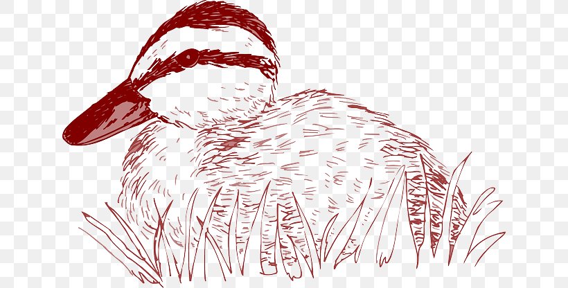 Duck Bird Drawing Paper, PNG, 640x416px, Duck, Art, Artwork, Beak, Bird Download Free