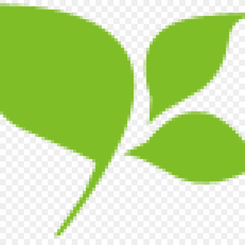 Leaf Plant Stem Green Font, PNG, 1024x1024px, Leaf, Grass, Green, Organism, Plant Download Free
