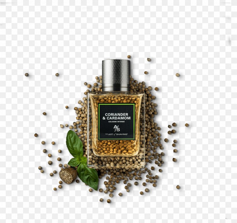 Perfume Black Cardamom Coriander Herb, PNG, 2302x2172px, Perfume, Agarwood, Art Of Shaving, Black Cardamom, Cardamom Download Free