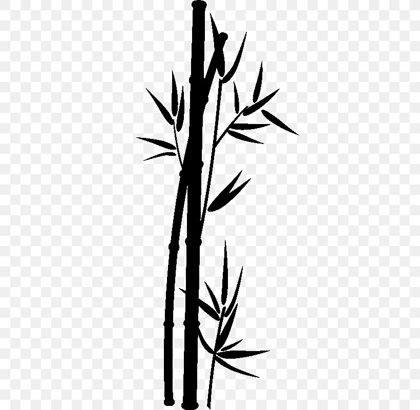 Sticker Art Bambou Tropical Woody Bamboos Plant Stem, PNG, 800x800px, Sticker, Bamboo, Bambou, Bathroom, Bedroom Download Free
