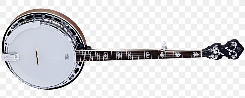 Banjo Guitar String Musical Instruments Mandolin, PNG, 2500x1000px, Watercolor, Cartoon, Flower, Frame, Heart Download Free
