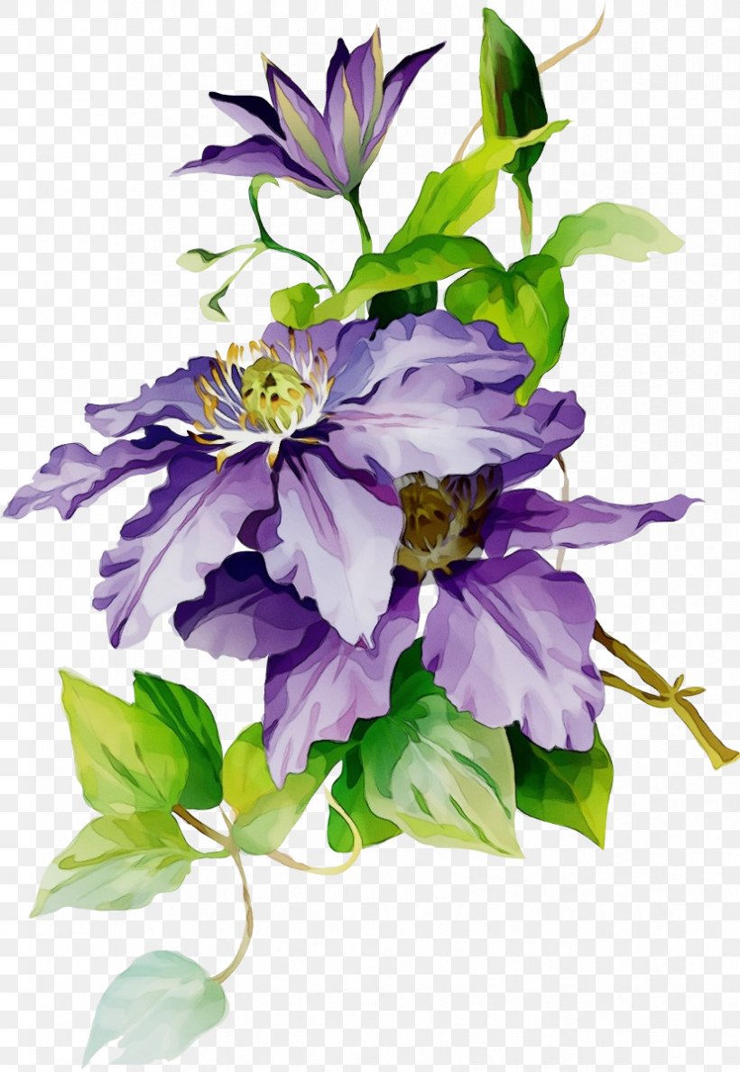 Lavender, PNG, 828x1200px, Watercolor, Bouquet, Cut Flowers, Flower, Flowering Plant Download Free