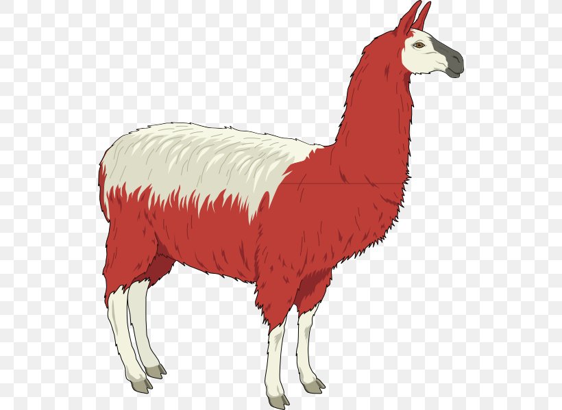 Llama Alpaca Clip Art, PNG, 534x599px, Llama, Alpaca, Animal Figure, Beak, Camel Like Mammal Download Free