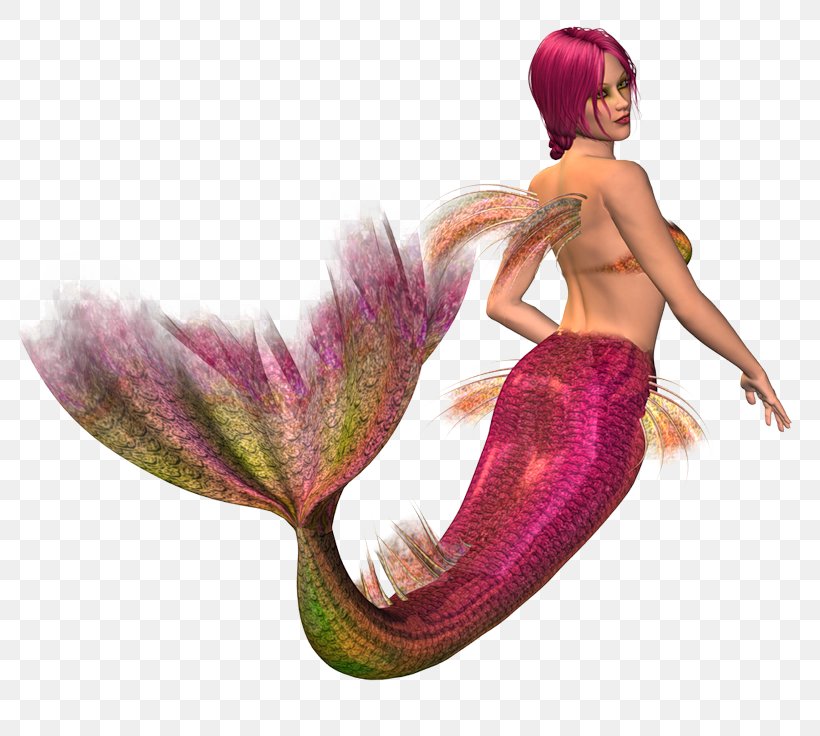 Mermaid Photography, PNG, 800x736px, Mermaid, Et Cetera, Fictional Character, Figurine, Legendary Creature Download Free