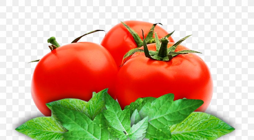 Organic Food Tomato Juice Vegetarian Cuisine Tomato Paste Vegetable, PNG, 901x498px, Organic Food, Bell Pepper, Bell Peppers And Chili Peppers, Bush Tomato, Canned Tomato Download Free
