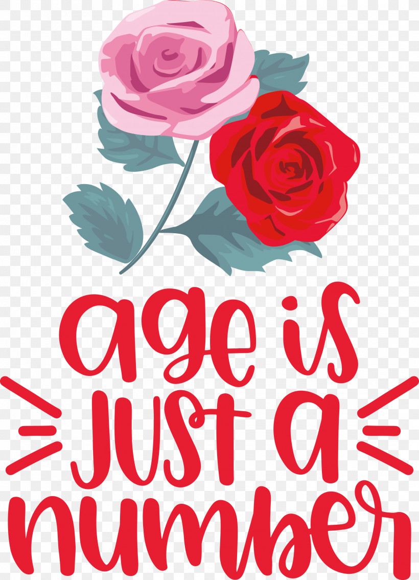 Birthday Age Is Just A Number, PNG, 2167x2999px, Birthday, Cut Flowers, Floral Design, Flower, Garden Download Free